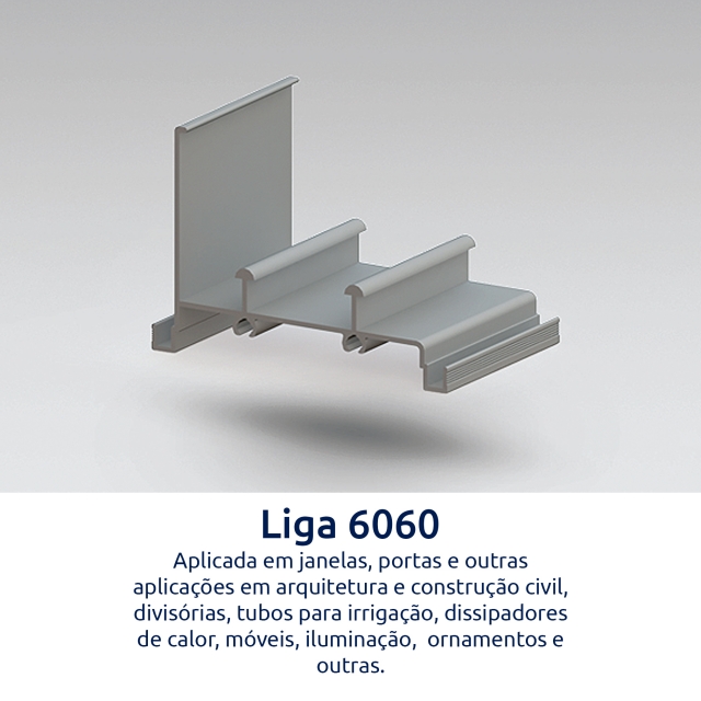 Liga 6060