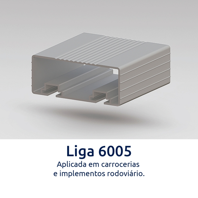 Liga 6005
